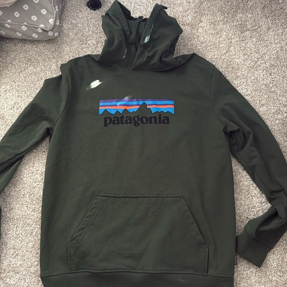Patagonia Hoodie